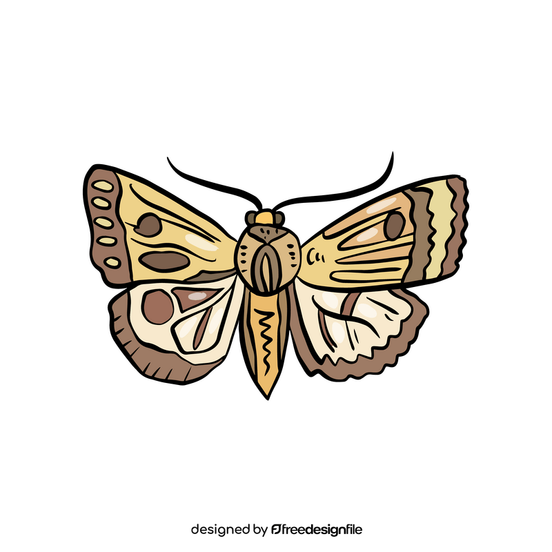 Free butterfly insect clipart