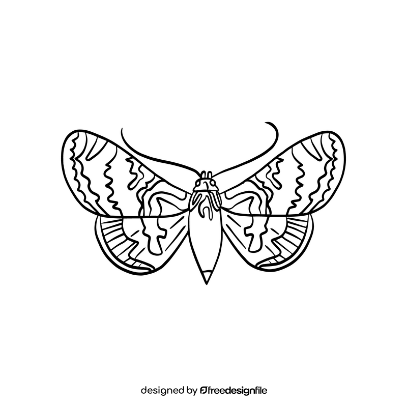 Cartoon butterfly black and white clipart