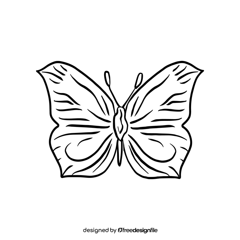 Butterfly black and white clipart