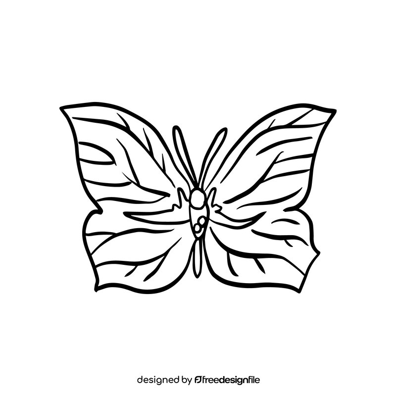 Butterfly cartoon black and white clipart