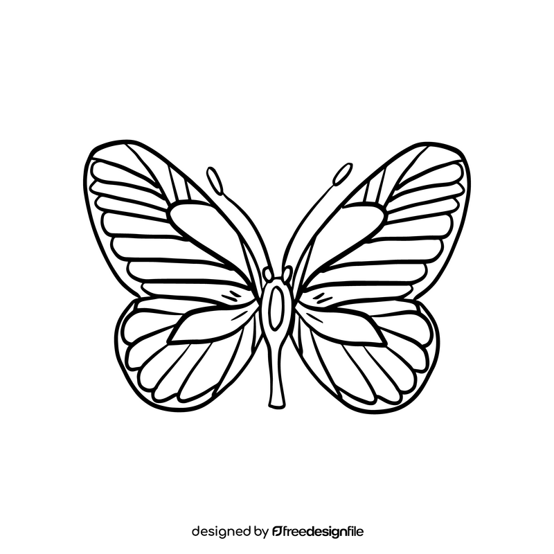 Butterfly drawing black and white clipart