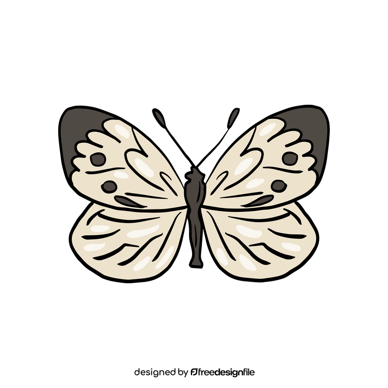 Butterfly drawing clipart