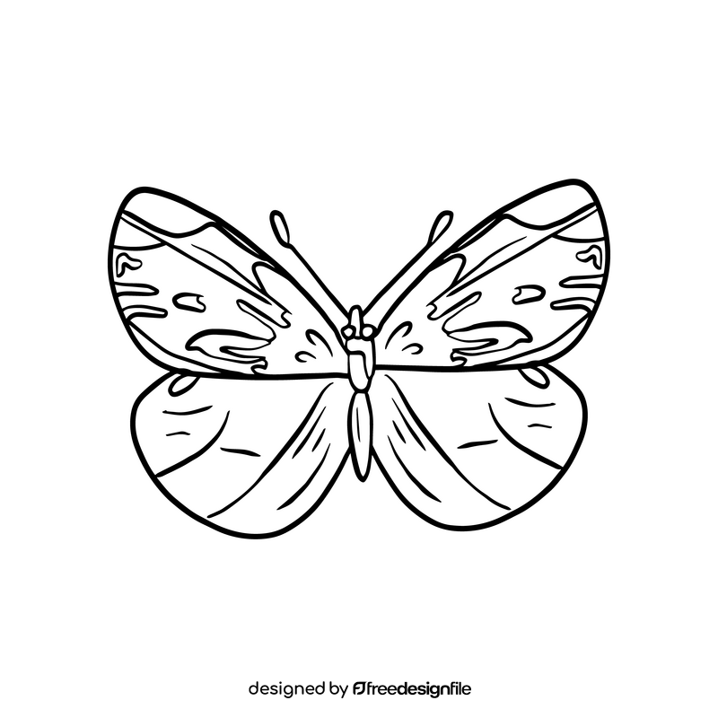 Butterfly illustration black and white clipart