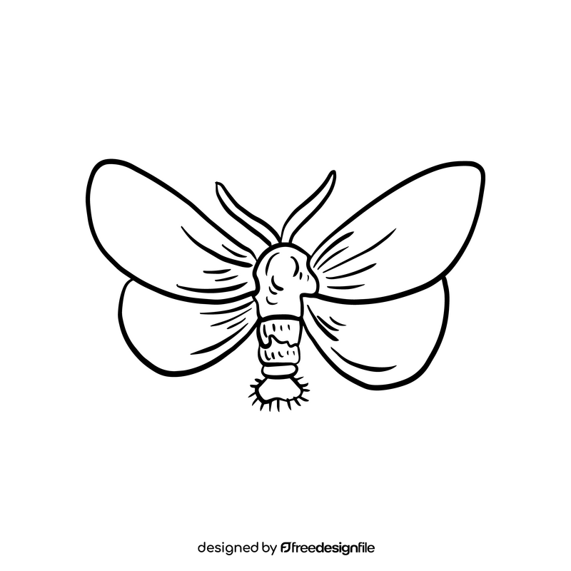 Butterfly drawing black and white clipart