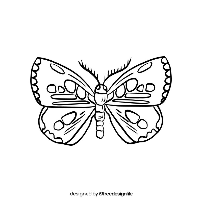 Black butterfly drawing black and white clipart