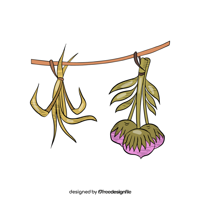 Spa dried flowers illustration clipart
