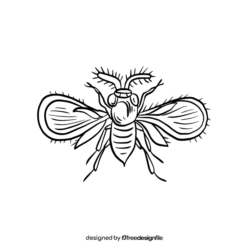 Insect rider black and white clipart