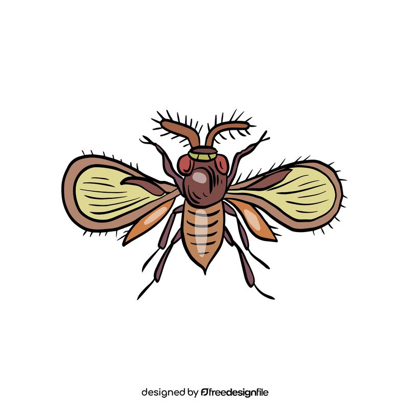 Insect rider clipart