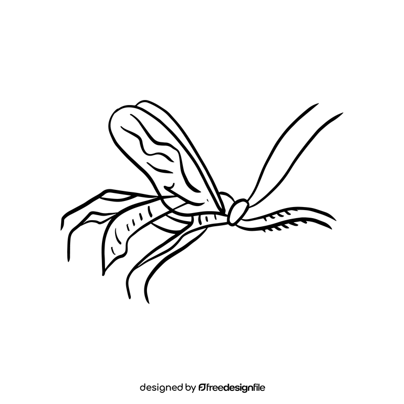Insect rider black and white clipart