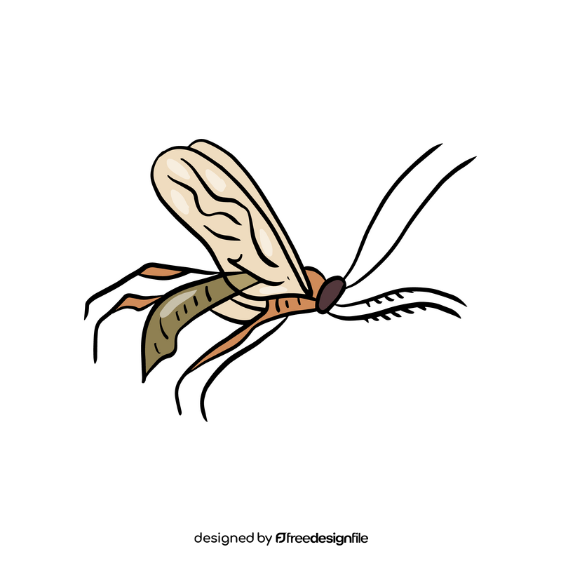Insect rider clipart