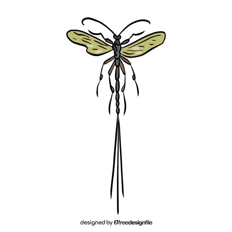 Flying insect illustration clipart