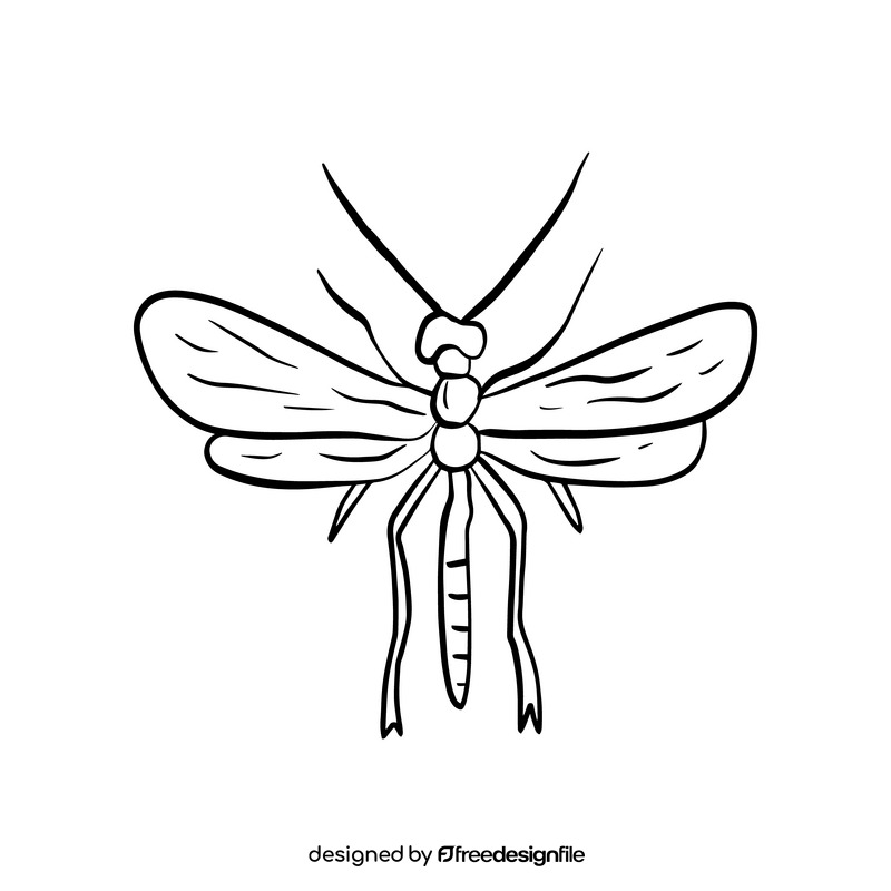 Flying insect drawing black and white clipart