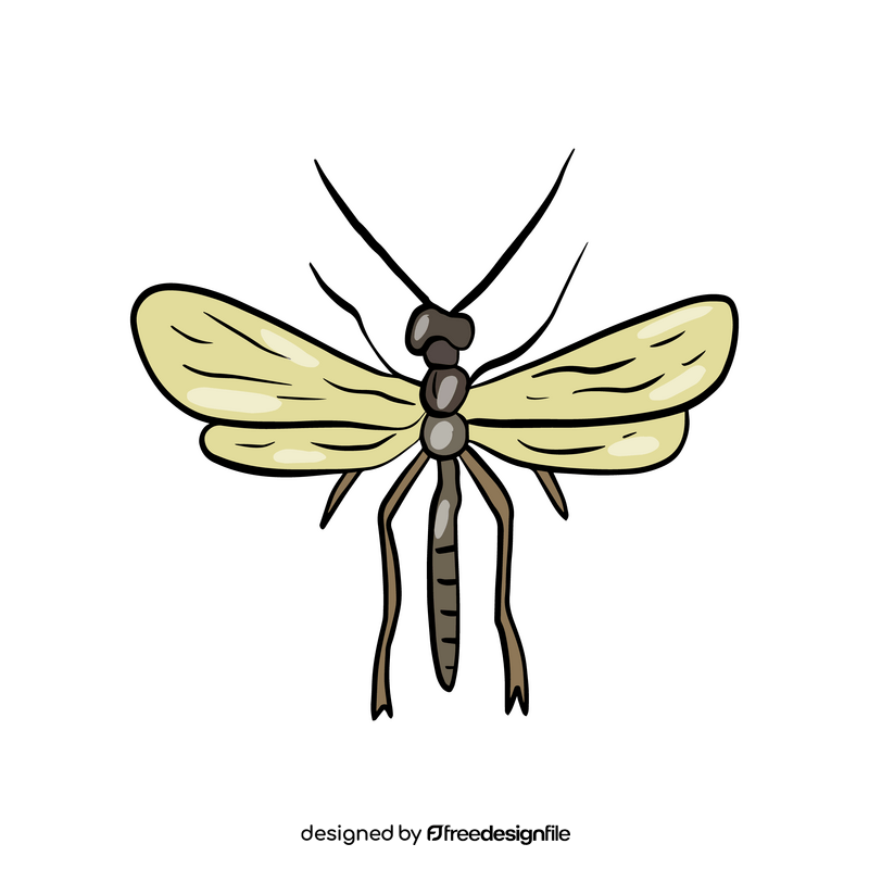 Flying insect drawing clipart