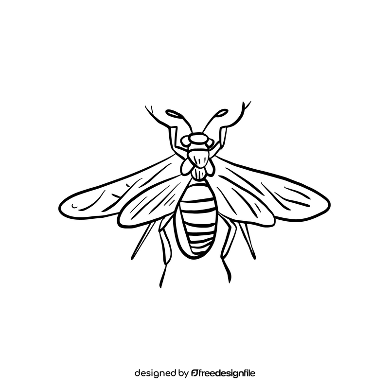 Flying insect black and white clipart