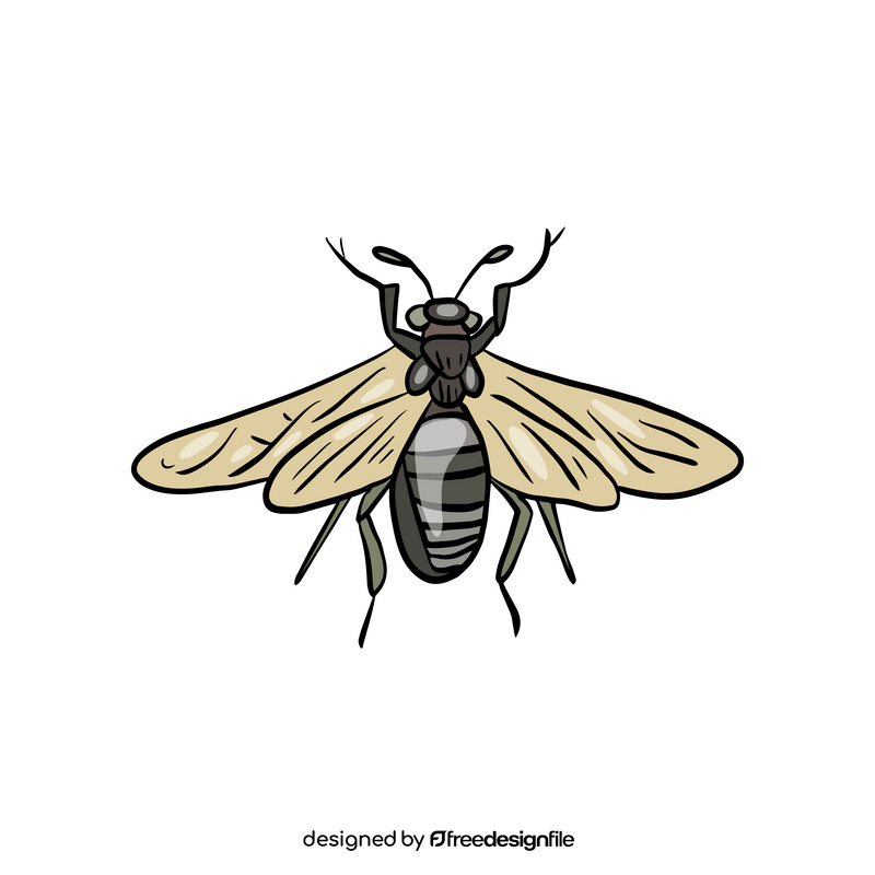 Flying insect clipart
