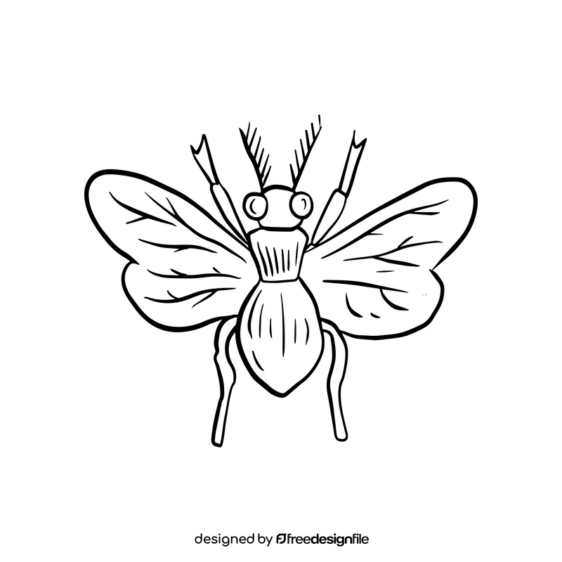 Free flying insect black and white clipart