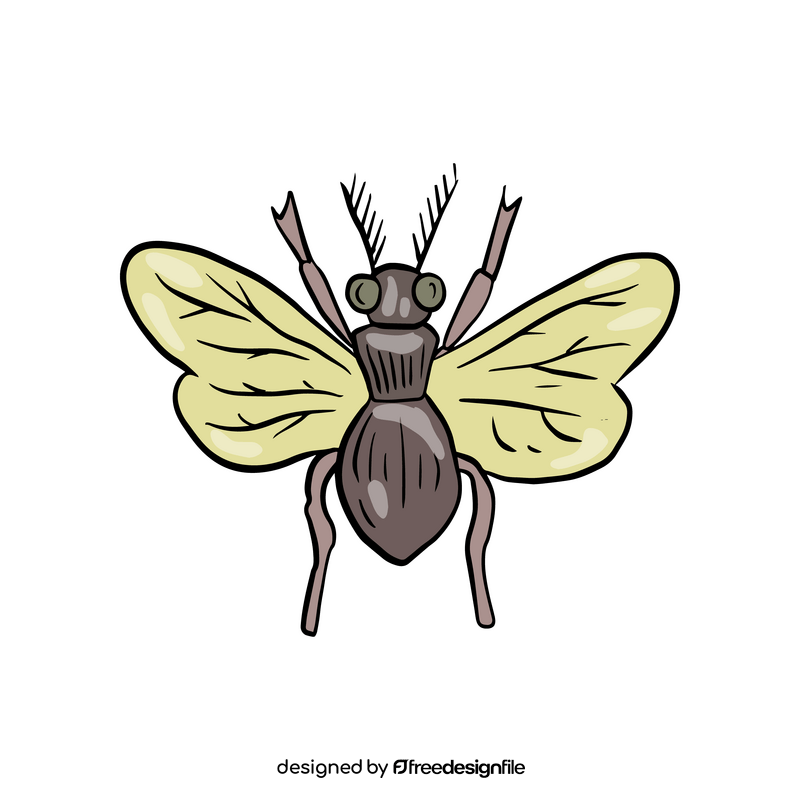 Free flying insect clipart