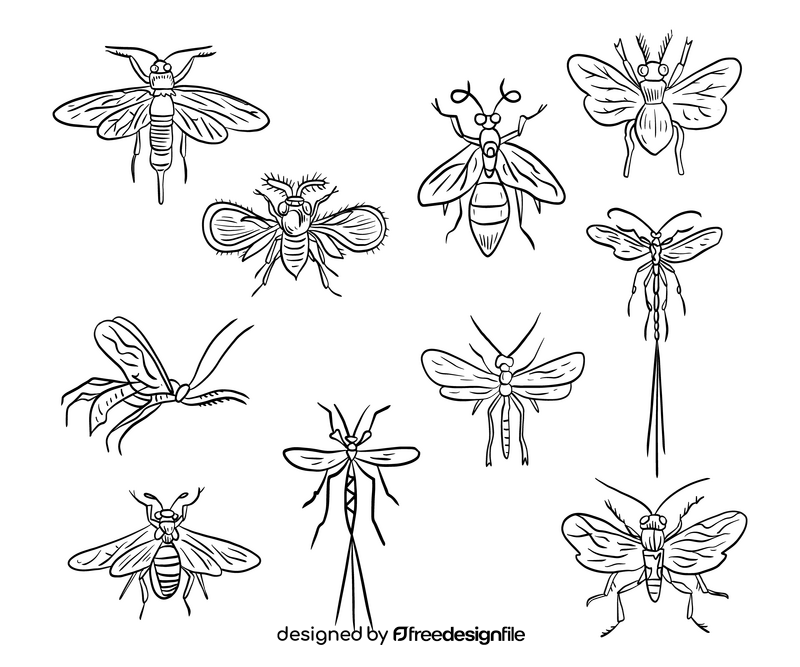 Flying insects black and white vector