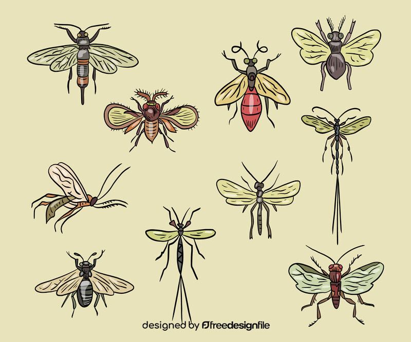 Flying insects vector