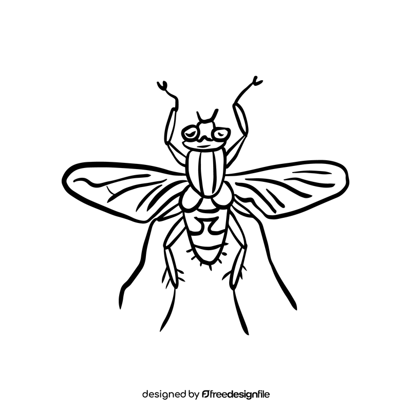 Fly insect black and white clipart
