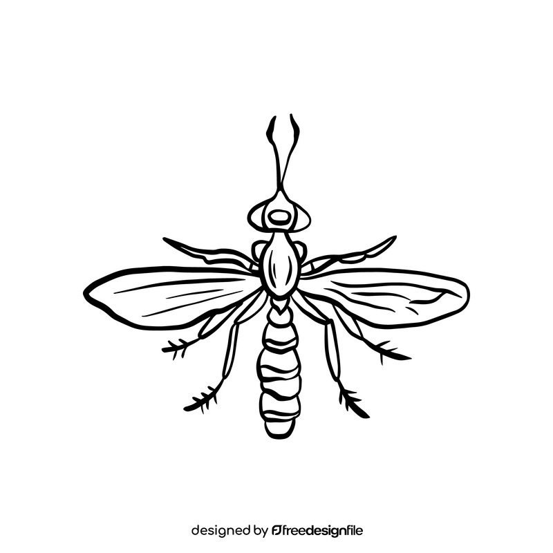 Fly insect black and white clipart