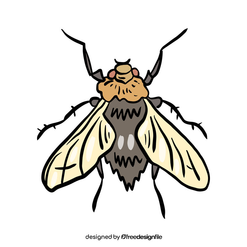 Fly insect clipart