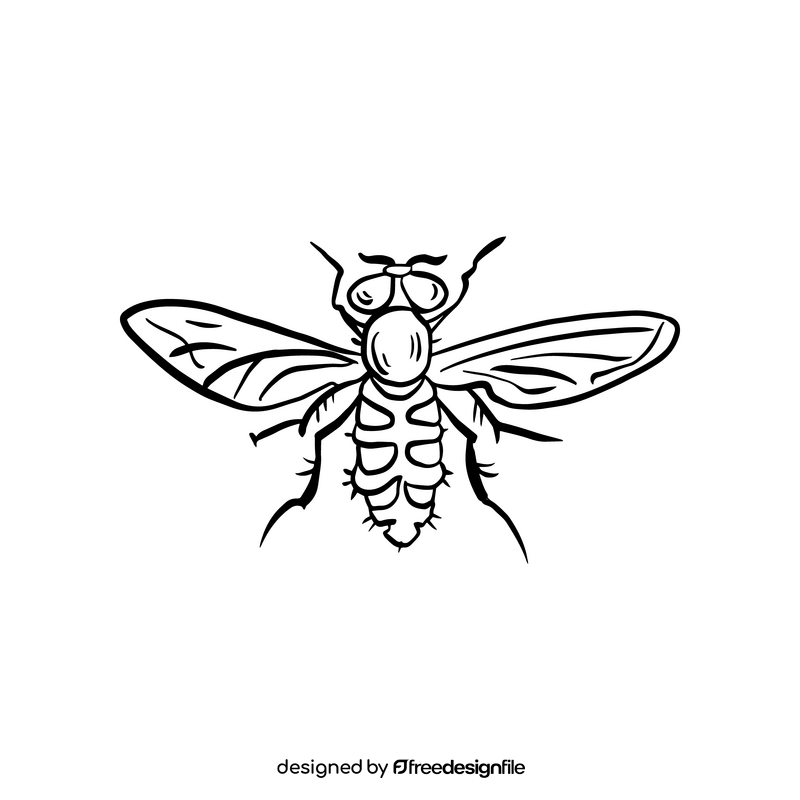 Fly insect cartoon black and white clipart
