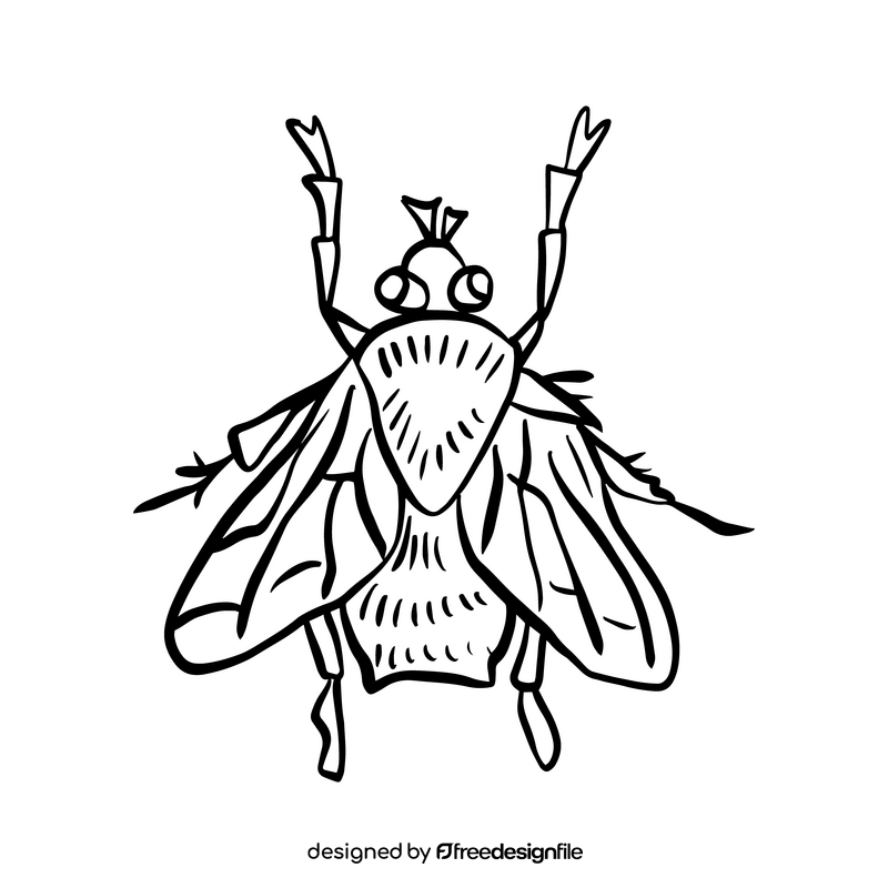 Cartoon fly insect black and white clipart