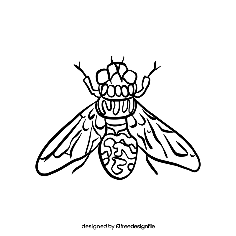 Fly insect illustration black and white clipart