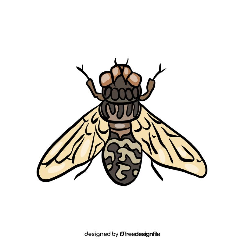 Fly insect illustration clipart