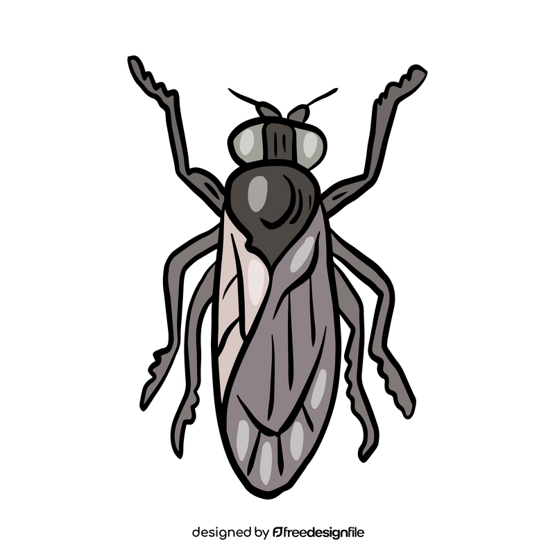 Fly insect drawing clipart