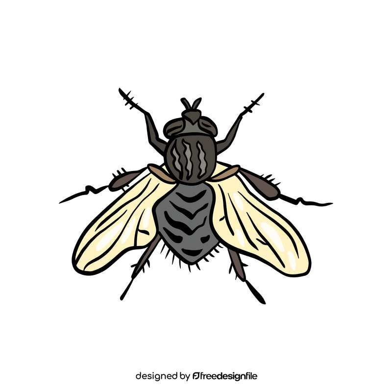 Fly insect illustration clipart