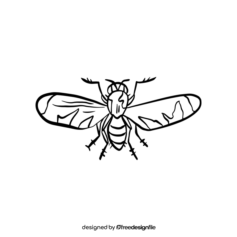 Free fly insect black and white clipart