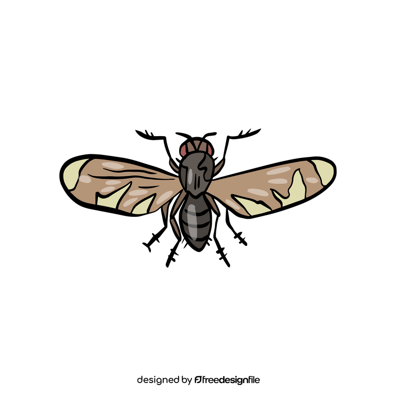 Free fly insect clipart