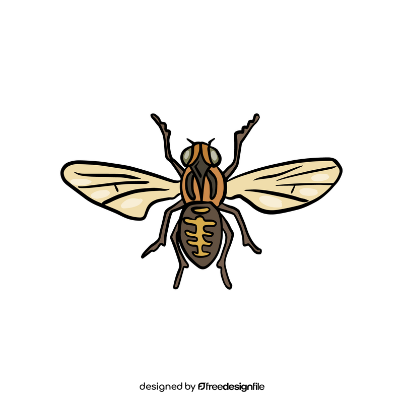 Fly insect free drawing clipart