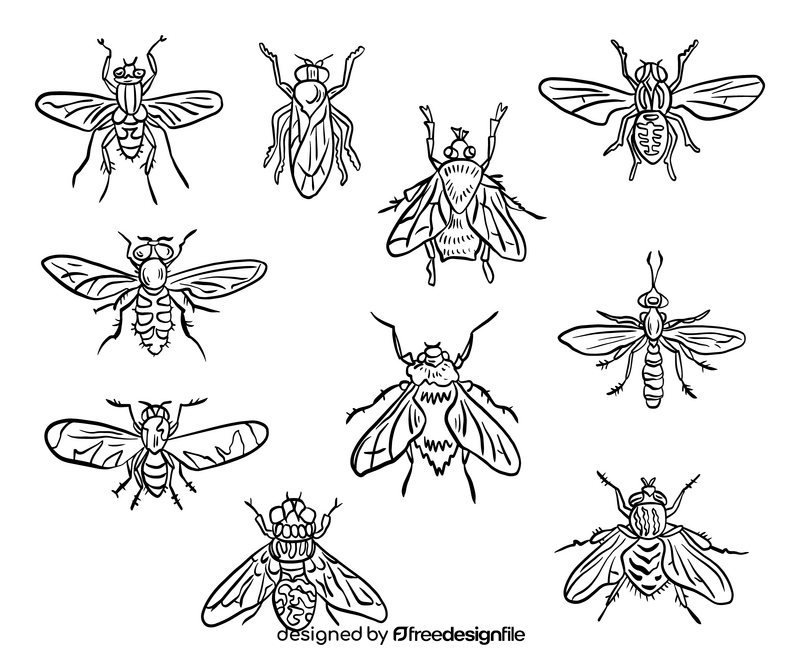 Fly insects black and white vector