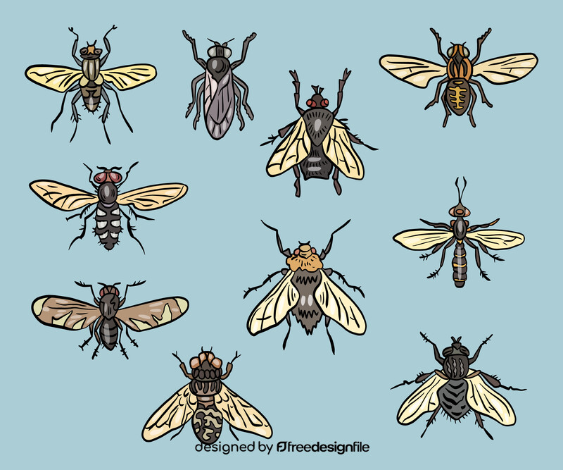 Fly insects vector
