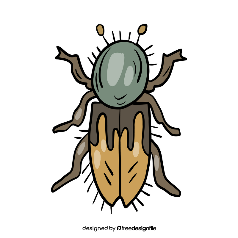 Leaf beetle clipart