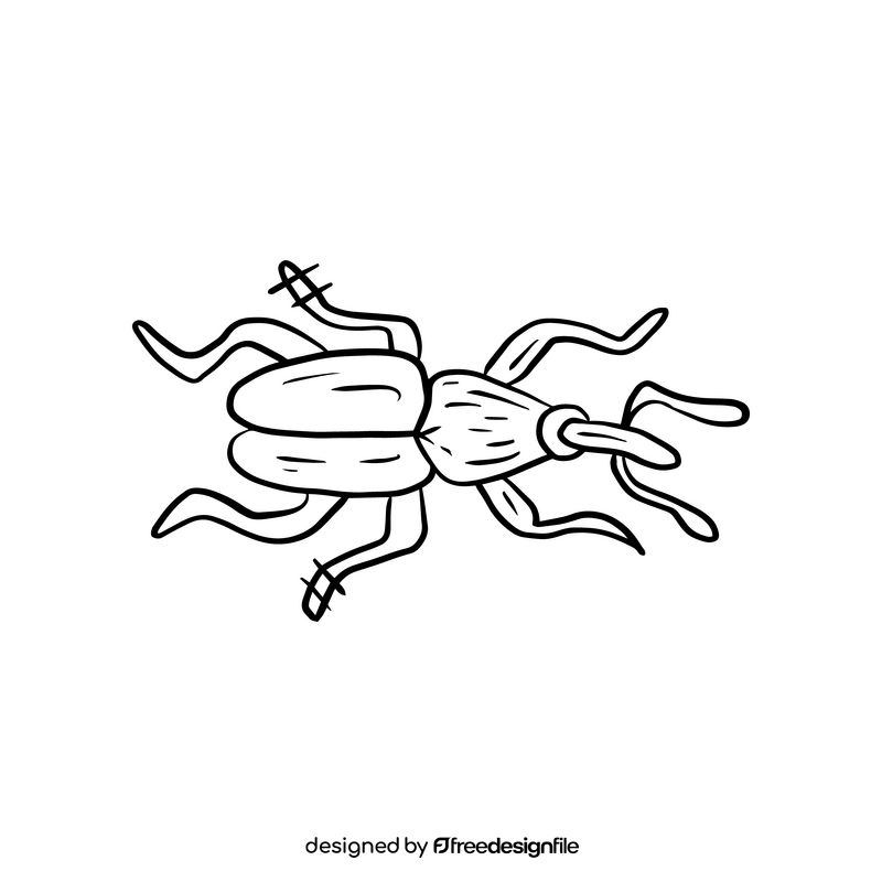 Leaf beetle illustration black and white clipart