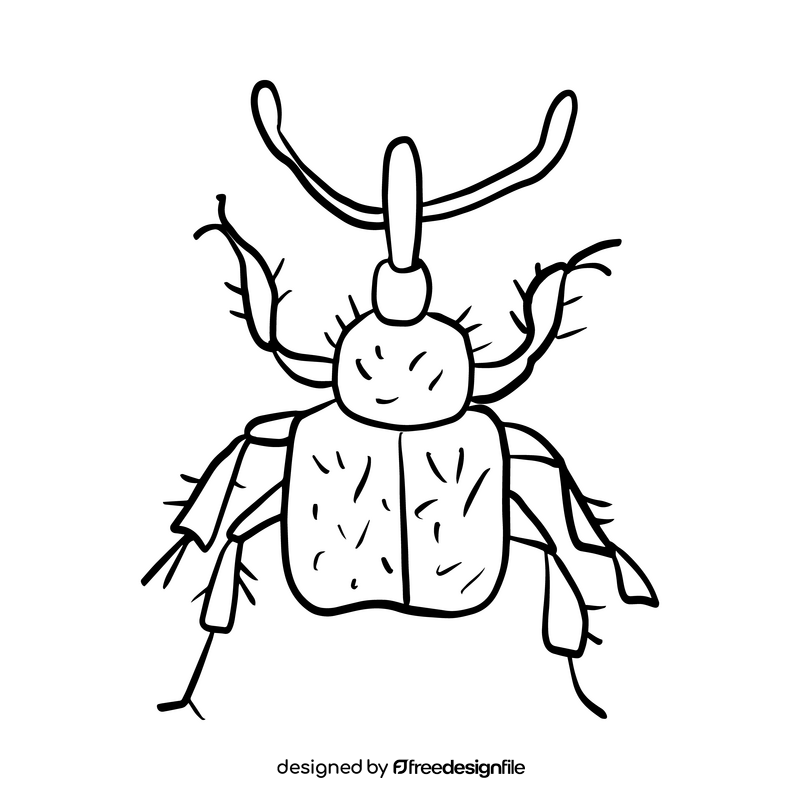 Leaf beetle drawing black and white clipart