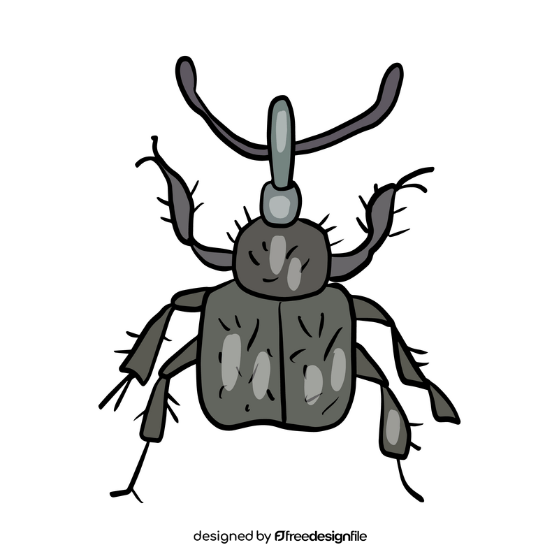 Leaf beetle drawing clipart