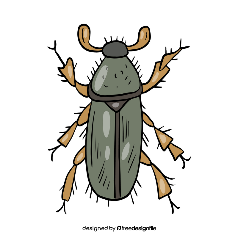 Free leaf beetle clipart