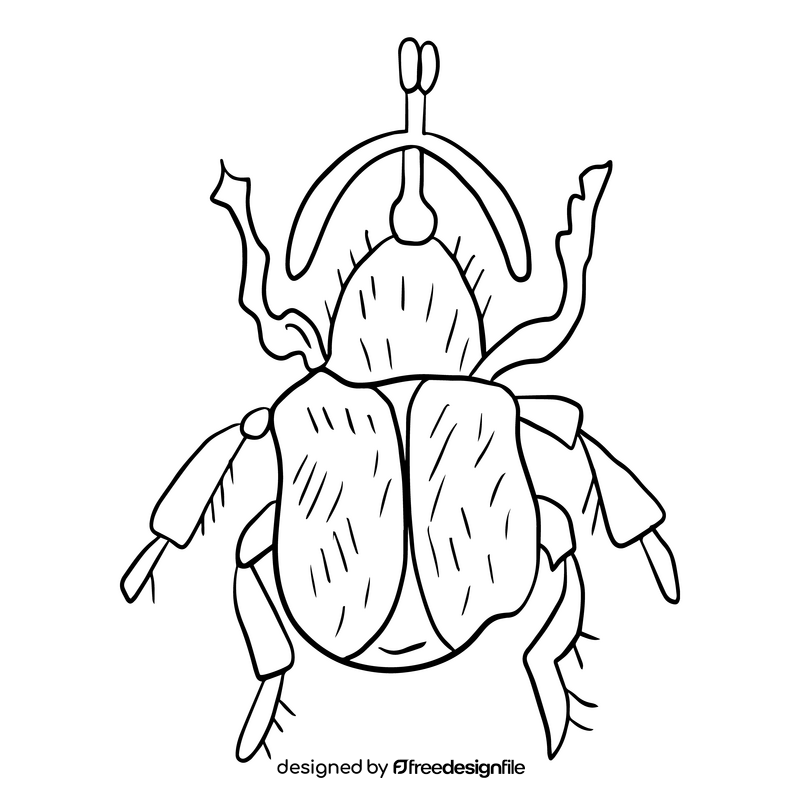 Leaf beetle black and white clipart