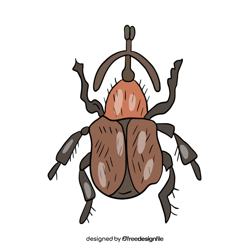 Leaf beetle clipart
