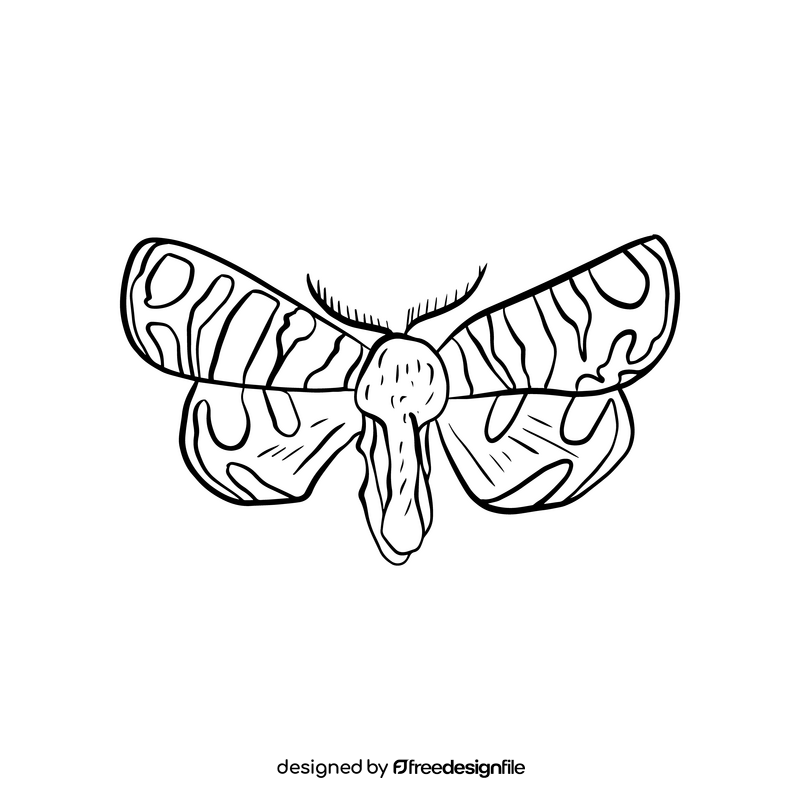 Butterfly black and white clipart