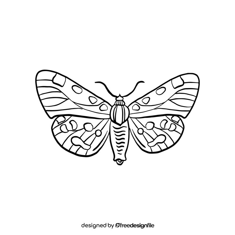 Free butterfly insect black and white clipart