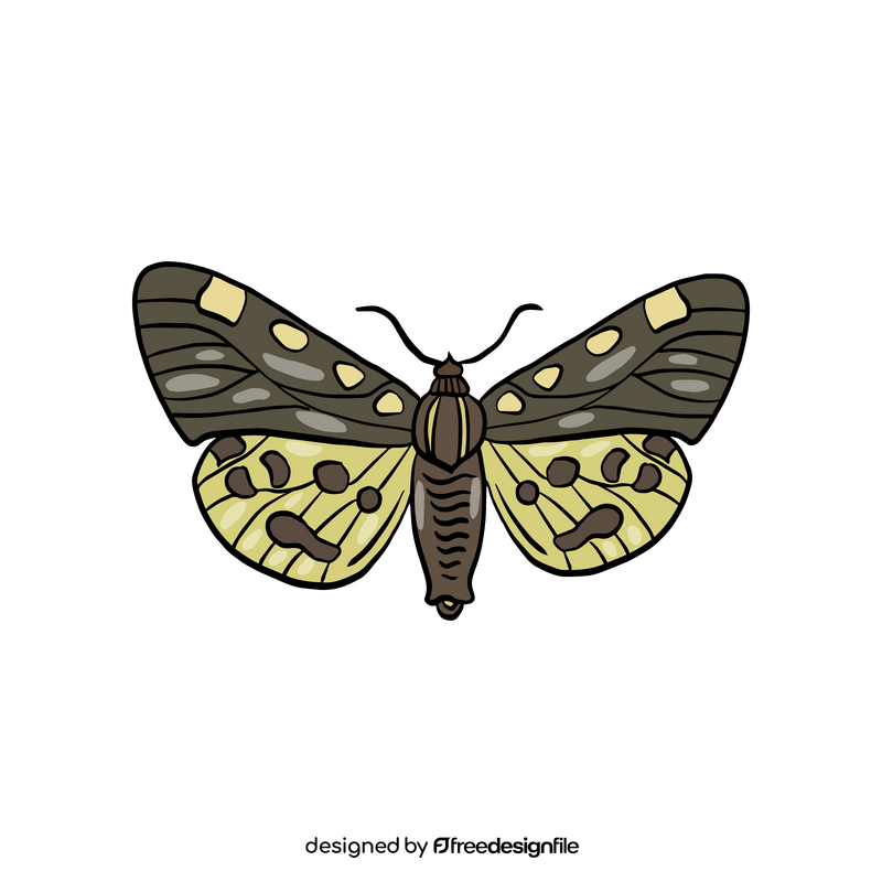 Free butterfly insect clipart