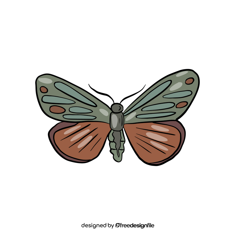Butterfly insect clipart