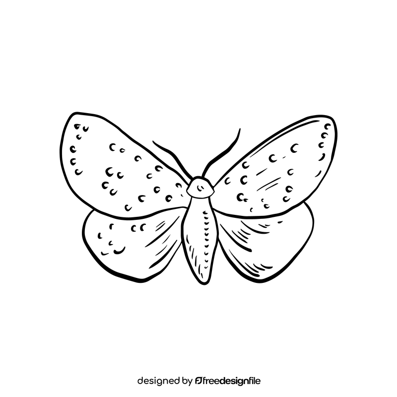 Butterfly drawing black and white clipart