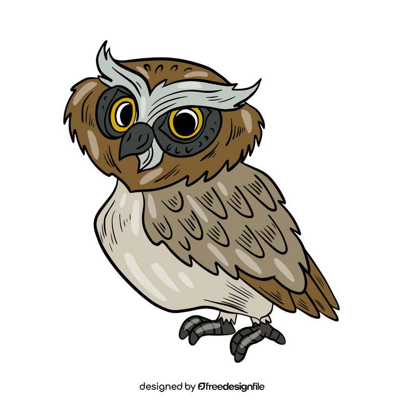 Owl bird clipart